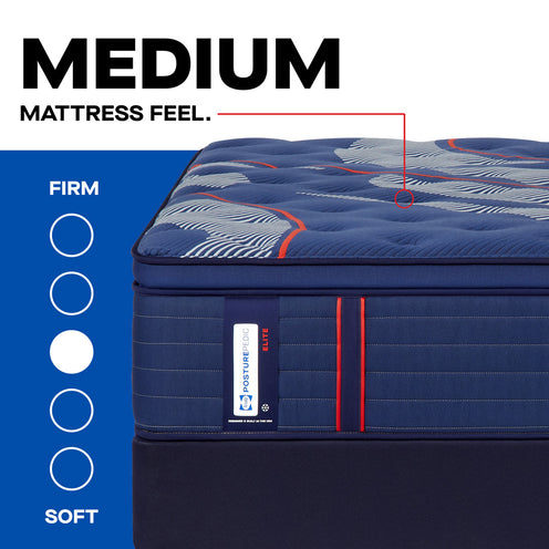 Sealy Dupont II Medium